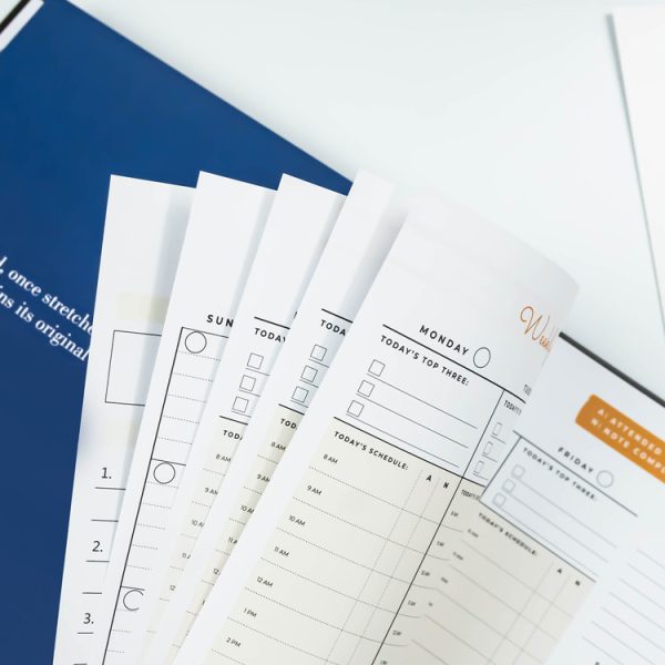 A5 Size Paper Cover Monthly Plan Coil Binding With Separator - Image 5