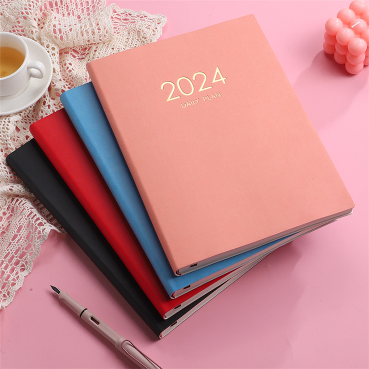2024 Daily Dairy Planner 365 Calendar Note 2024 Day Book Planner 2024 Daily  Planner 2024 Diary Journal One Day per Two Page Agenda 
